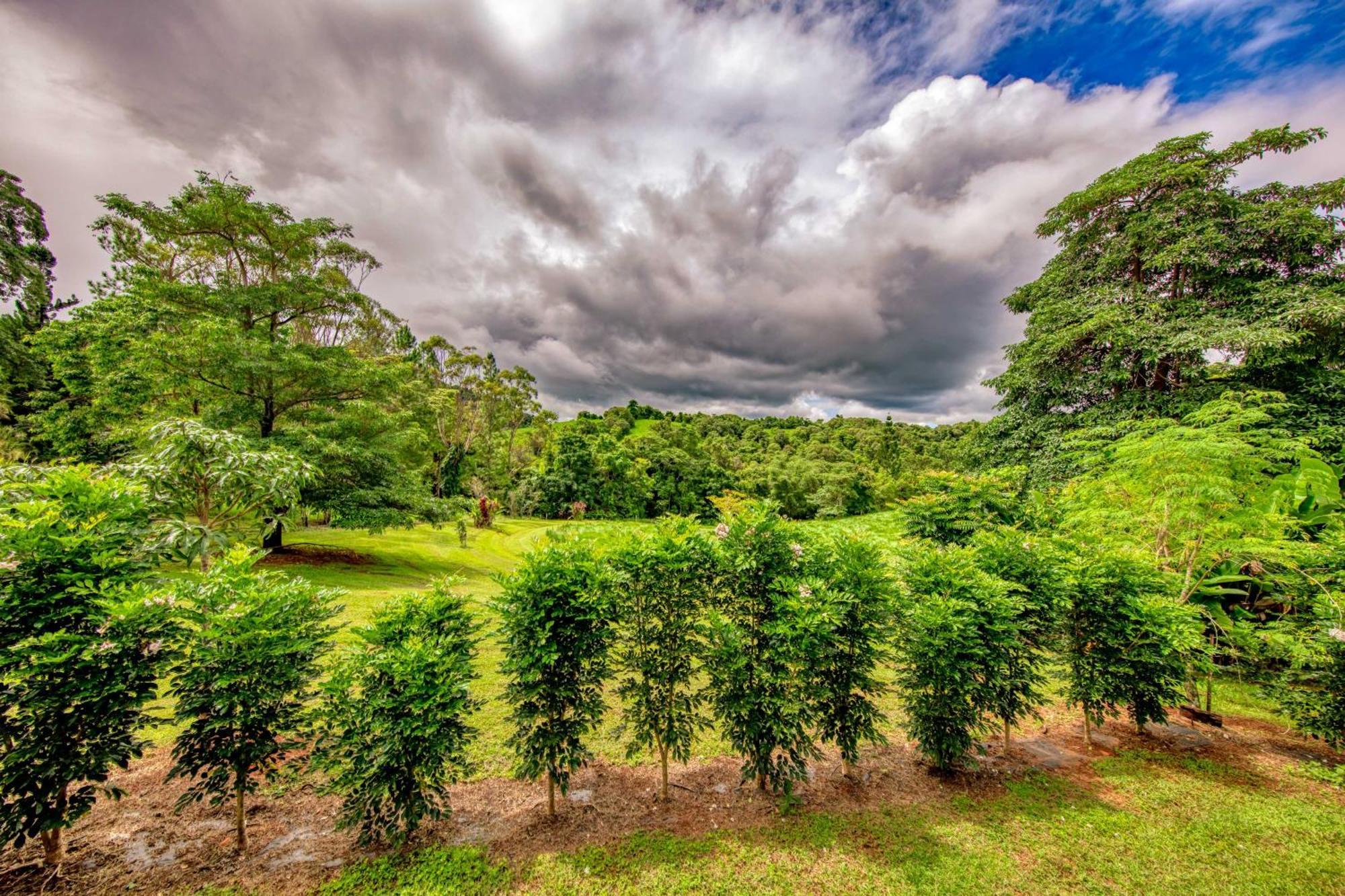 梅纳河花房酒店 Mena Creek 外观 照片